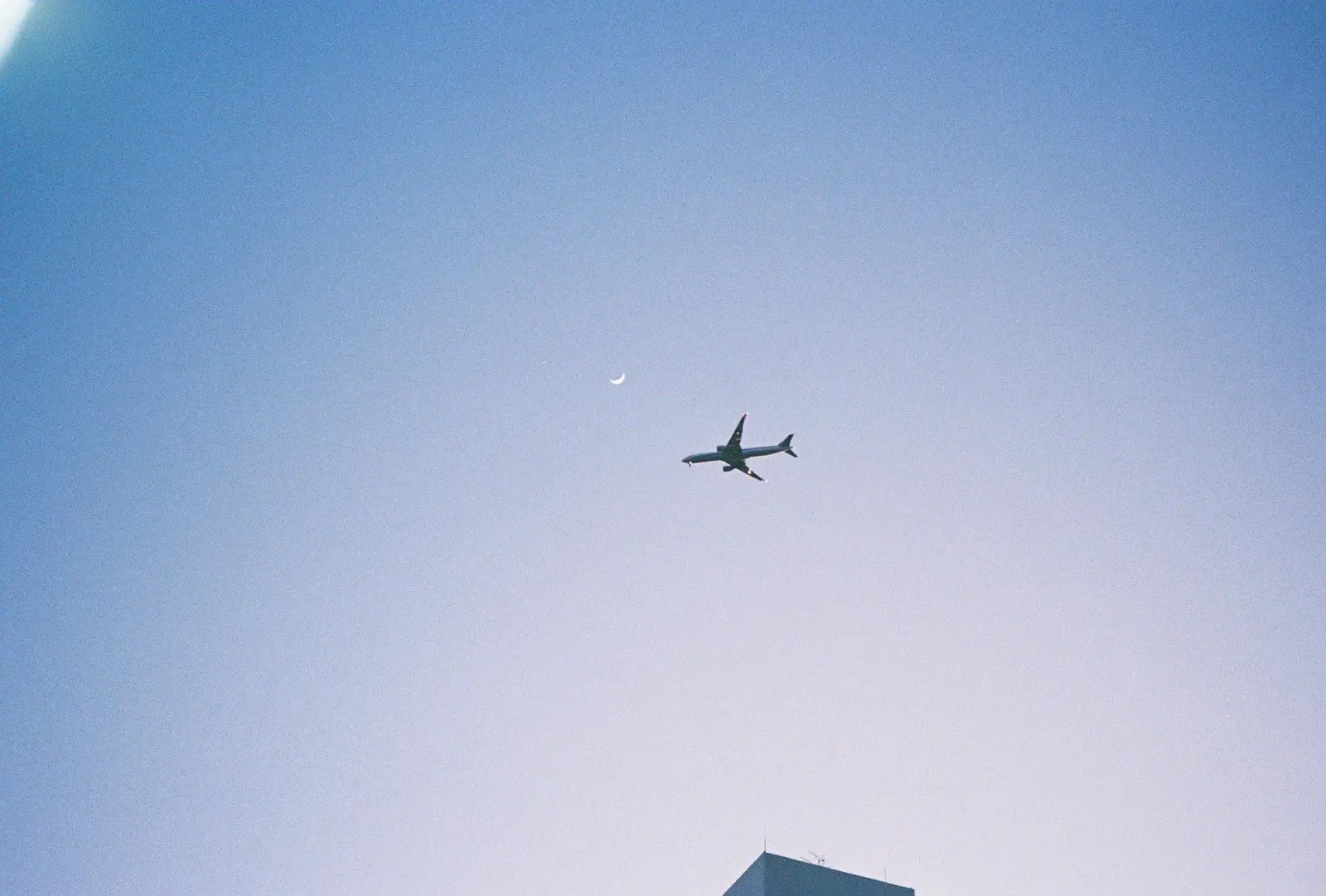 淡い空を横切っていく飛行機